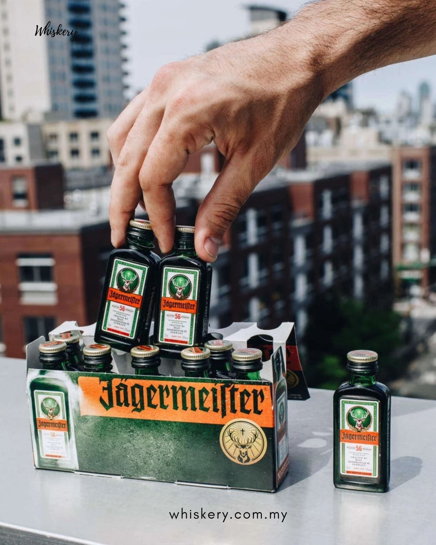 Jägermeister Miniature 2cl x 24