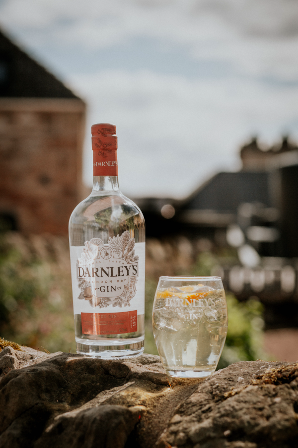 Darnleys Spiced Gin - Premium Gin from Darnleys - Shop now at Whiskery